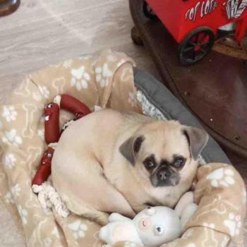 oliviaruiz557 - date a French, 100% free oliviaruiz557