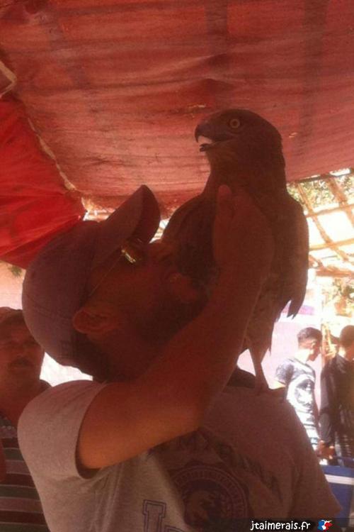 nogravity - date a French, 100% free nogravity