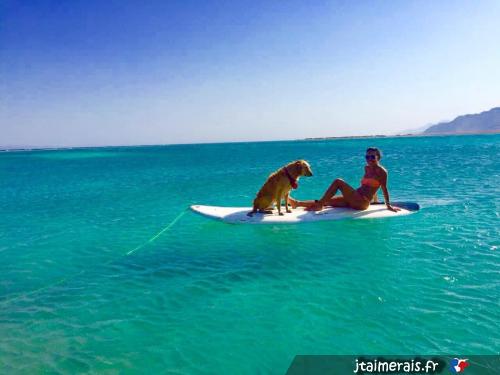 luvlife - date a French, 100% free luvlife