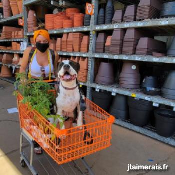 sylvieme20 - date a French, 100% free sylvieme20