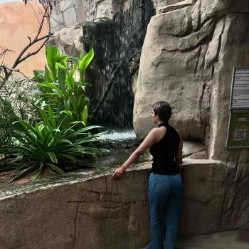 Salwacarter - date a French, 100% free Salwacarter