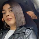 Bourgogne-Franche-Comté chat