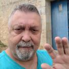 Nouvelle-Aquitaine chat