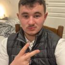 Bourgogne-Franche-Comté chat