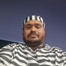 Centre-Val de Loire chat