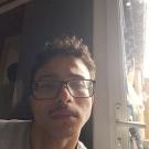 Provence-Alpes-Côte d Azur chat