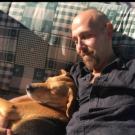 Provence-Alpes-Côte d Azur chat