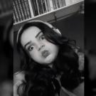 Provence-Alpes-Côte d Azur chat