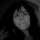 Bourgogne-Franche-Comté chat