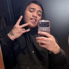 Provence-Alpes-Côte d Azur chat