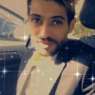 Provence-Alpes-Côte d Azur chat