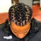 Bourgogne-Franche-Comté chat