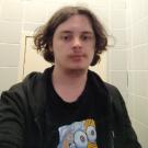 Nouvelle-Aquitaine chat