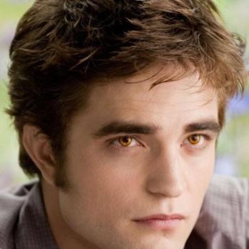 Emmanuel?? spoofed photo banned on jtaimerais.fr